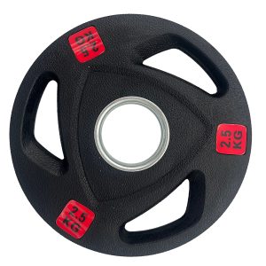 gumirana utež 2.5kg